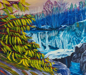 Cedar Flanked Falls Canvas Print